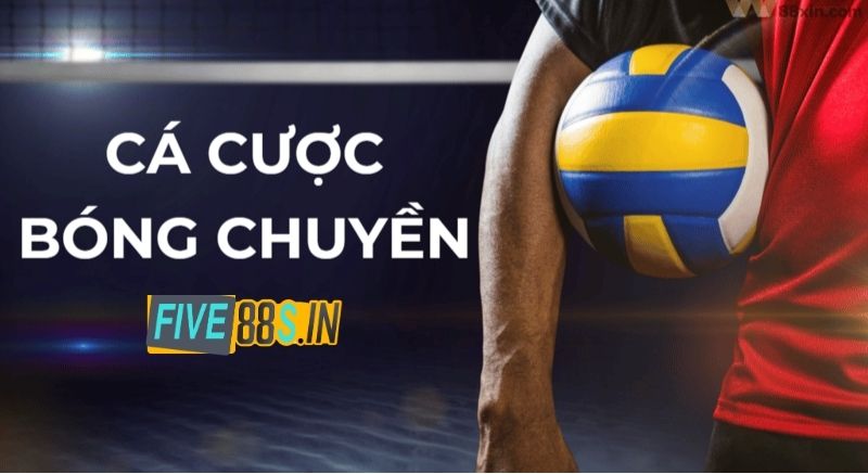 Thông tin hay về cá cược bóng chuyền