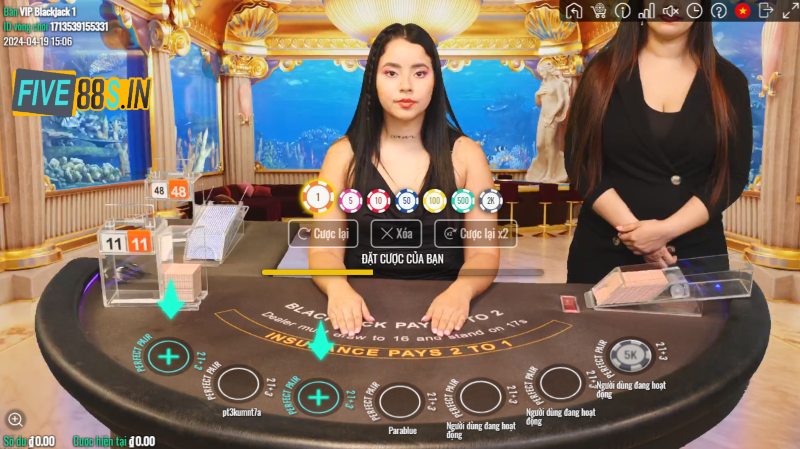 Chỉ chọn so bài khi đã xem xét kỹ các lá bài